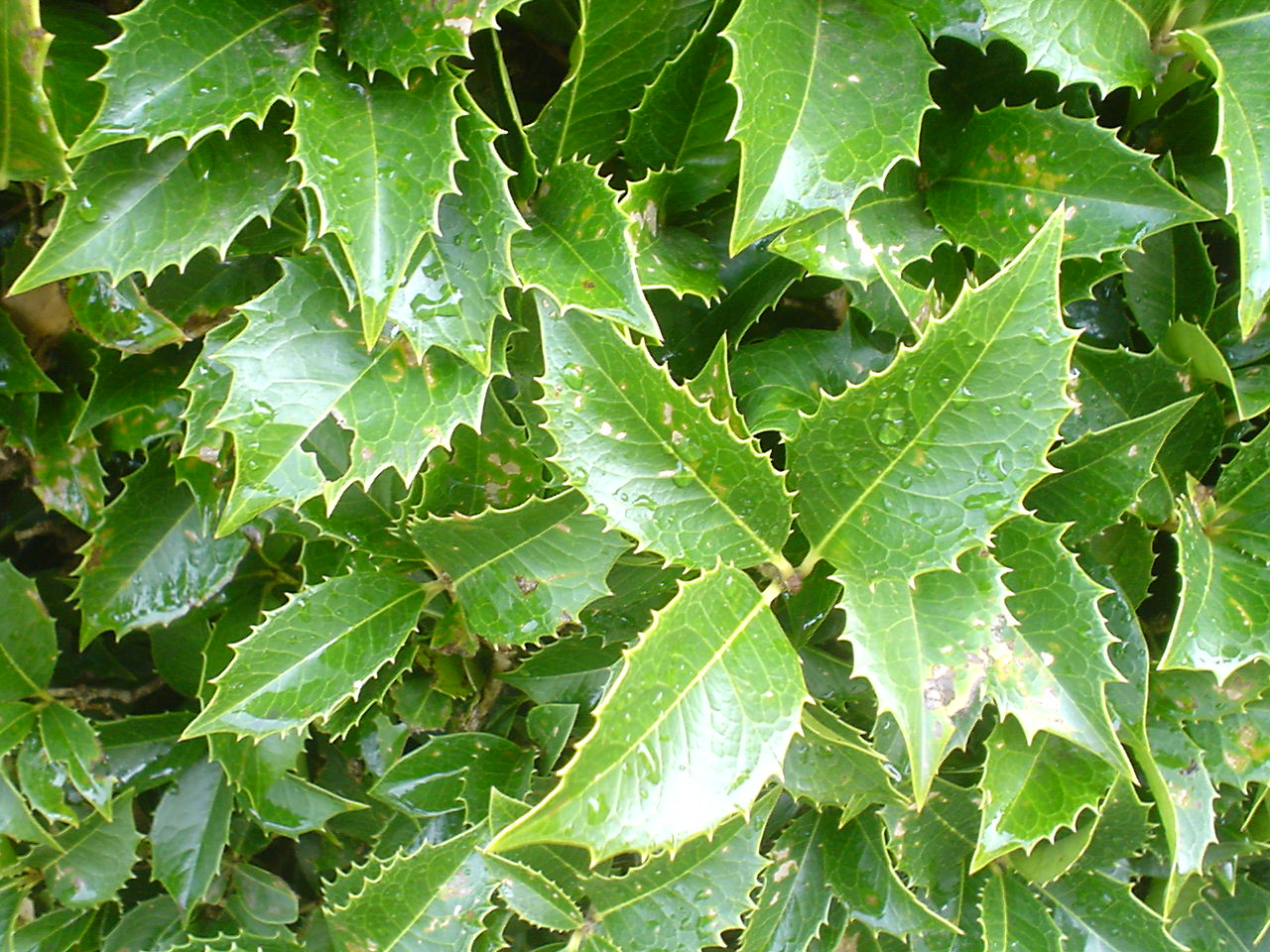 c0150520_23354344.jpg