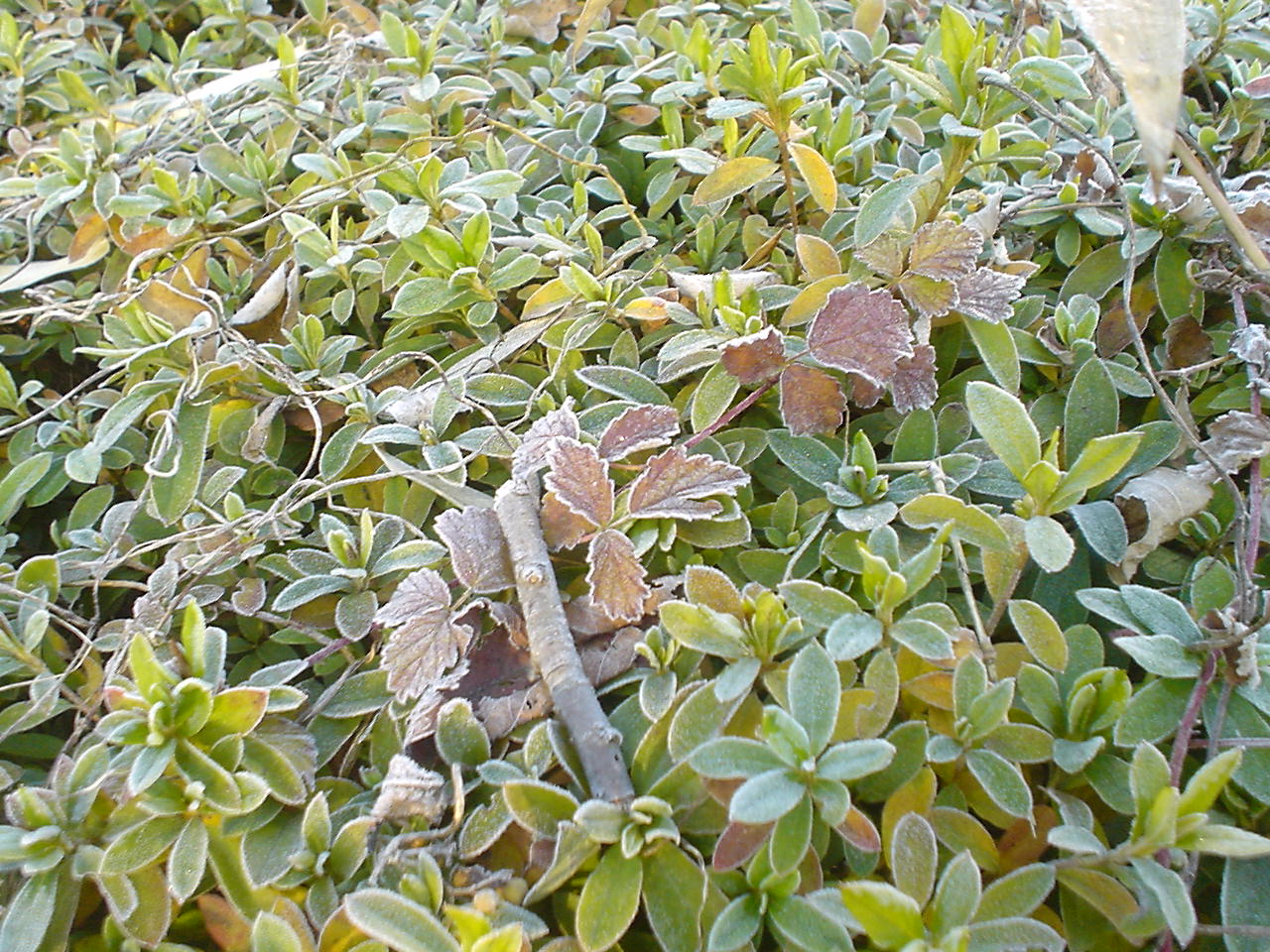 c0150520_2338937.jpg