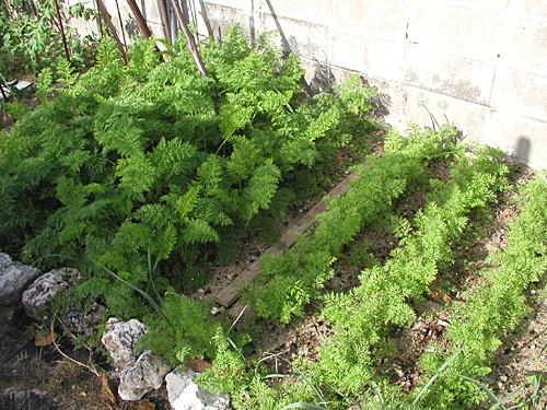 f0041021_20331450.jpg