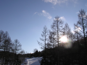 f0128723_029897.jpg
