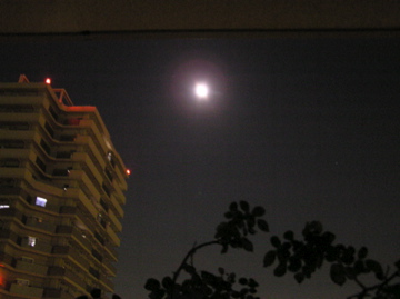 f0128723_22292411.jpg
