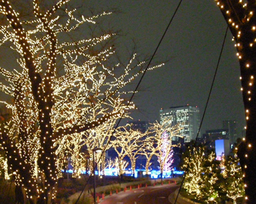 a0019224_2274252.jpg