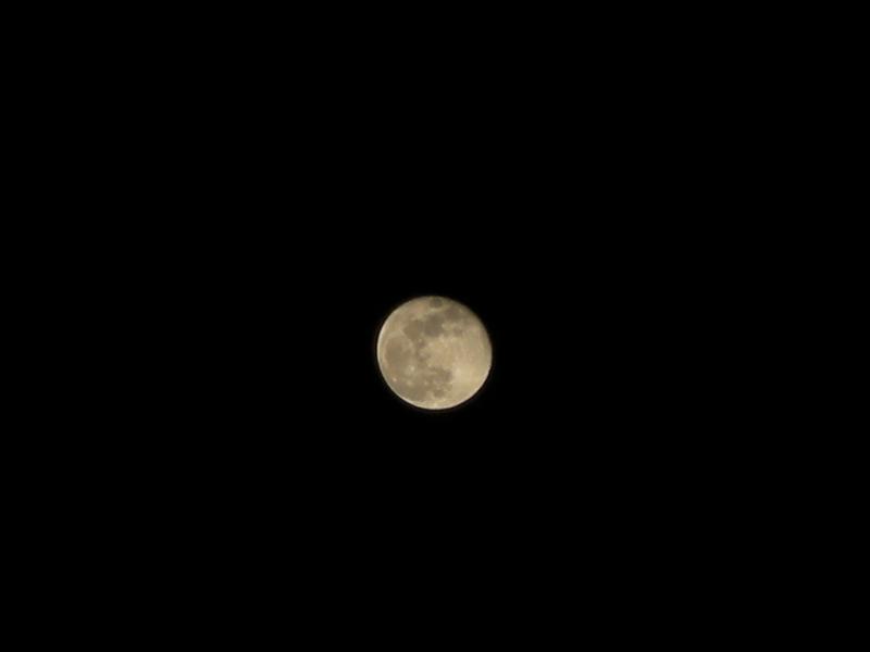 c0144427_20204628.jpg