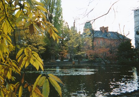 c0122445_23141050.jpg