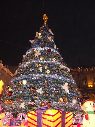 d0010646_0401624.jpg