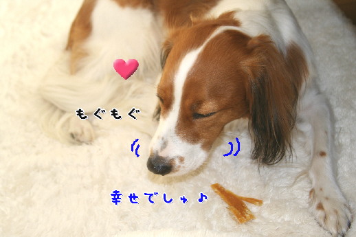 d0013149_11199.jpg
