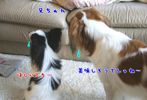 d0013149_175940.jpg
