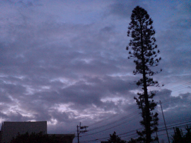 e0050449_1944121.jpg