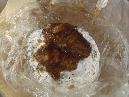 f0009451_19542296.jpg