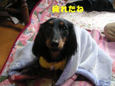 c0151866_10595712.jpg