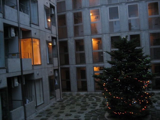 a0104569_1956533.jpg