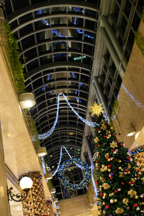 d0079373_2334823.jpg