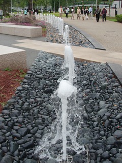 c0105785_903158.jpg