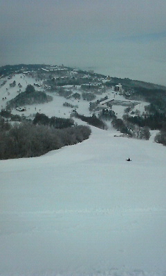 d0045588_1173050.jpg
