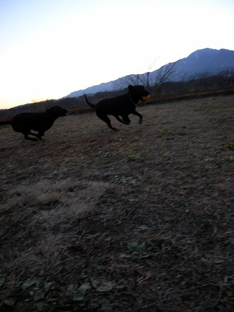 a0093592_2321928.jpg