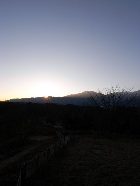 a0093592_2331543.jpg