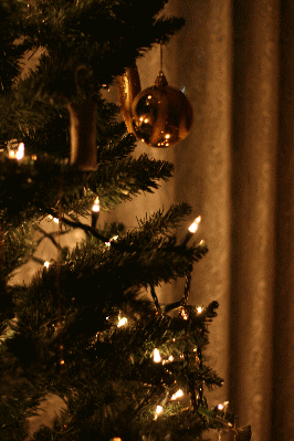 d0100192_22175280.gif