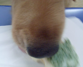 c0096393_13324274.jpg