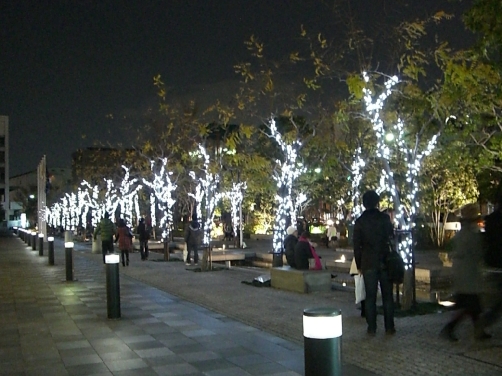 f0121293_0512785.jpg