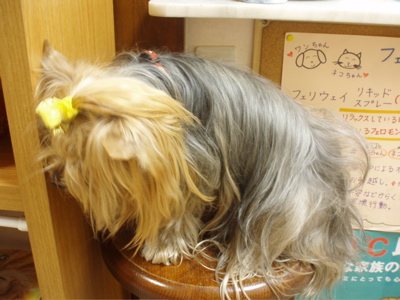 f0130894_20501165.jpg