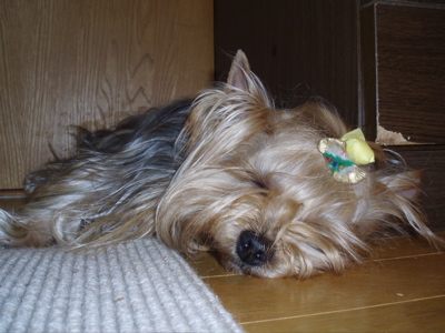 f0130894_2052642.jpg