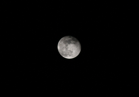 c0118496_20525176.jpg