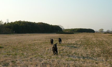 c0050400_22102647.jpg