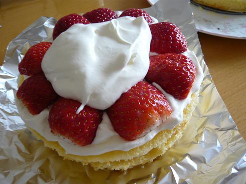 d0003000_734251.jpg