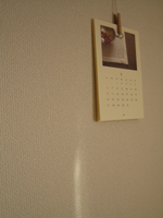 d0076603_211949.jpg