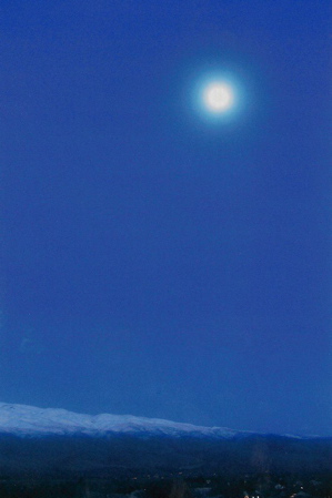 b0088205_14435787.jpg