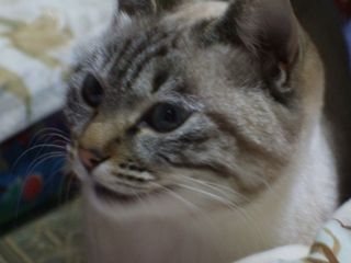 c0103205_21553725.jpg