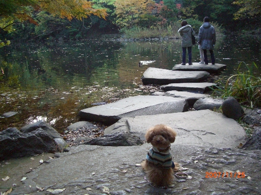 c0110906_23252986.jpg