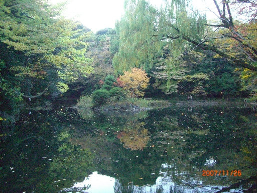 c0110906_2326818.jpg