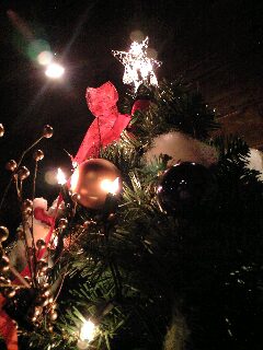 f0092906_23048100.jpg
