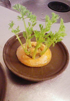 d0093508_20355559.jpg