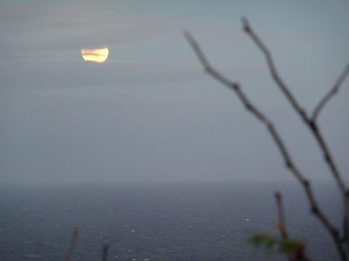 c0127909_193699.jpg