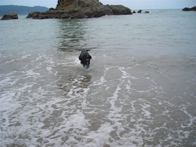 d0104209_21202851.jpg