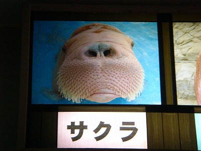 c0153410_2221247.jpg