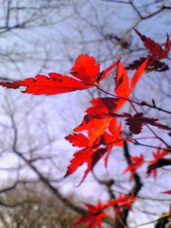 a0101715_18475939.jpg