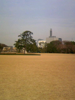 a0044916_10385795.jpg