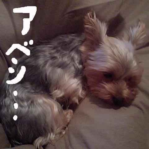 c0036617_18412286.jpg