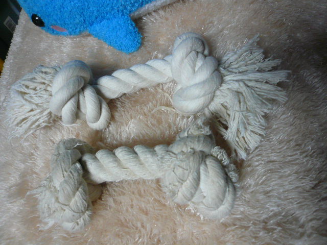e0026017_22261187.jpg