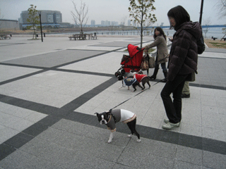 e0080117_23423181.gif