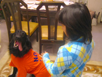 c0012120_15134150.jpg