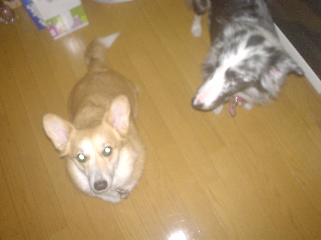 c0150520_035160.jpg