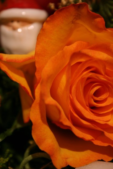 f0144728_1115961.jpg