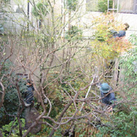 d0033734_15455871.jpg