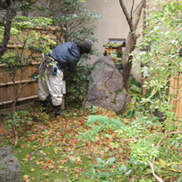 d0033734_1556724.jpg
