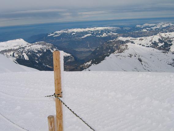 e0010134_835761.jpg