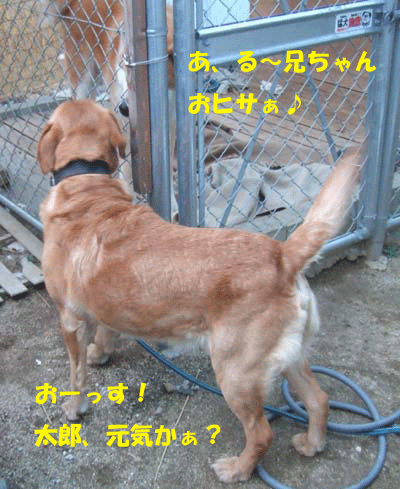 f0008935_8282589.gif